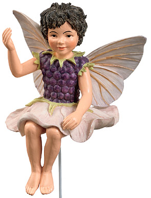 Flower Fairy Braam Flower Fairy Braam