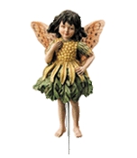 Flower Fairy Jacobskruiskruid Flower Fairy Jacobskruiskruid