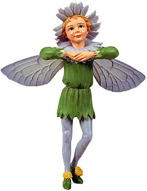 Flower Fairy Aster Flower Fairy Aster