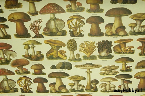 Italiaans boekbinderspapier Paddestoelen Italiaans boekbinderspapier Paddestoelen