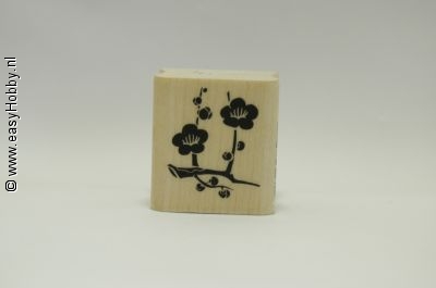 Stempel, Bloem Plum Blossom Stempel, Bloem Plum Blossom